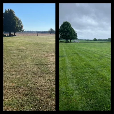 Pic on left taken 10/19/23, pic on right taken 8/8/23 after core aeration, overseeding and just 2 of 5 steps of our Lawn Care plan!