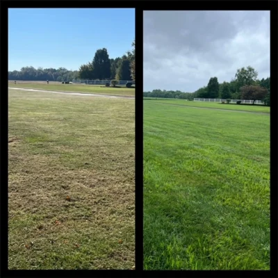 Pic on left taken 10/19/23, pic on right taken 8/8/23 after core aeration, overseeding and just 2 of 5 steps of our Lawn Care plan!