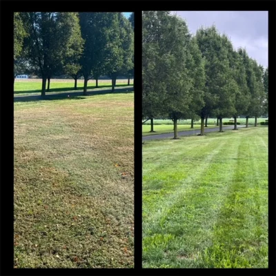 Pic on left taken 10/19/23, pic on right taken 8/8/23 after core aeration, overseeding and just 2 of 5 steps of our Lawn Care plan!