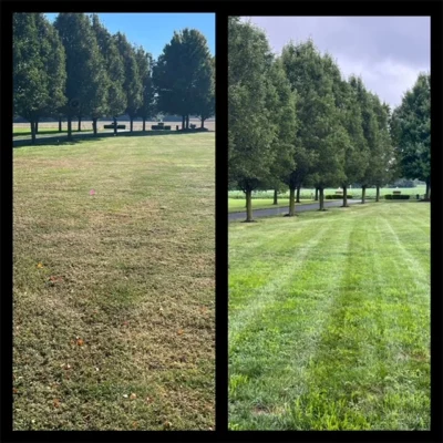 Pic on left taken 10/19/23, pic on right taken 8/8/23 after core aeration, overseeding and just 2 of 5 steps of our Lawn Care plan!