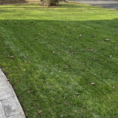 GreenLawn1