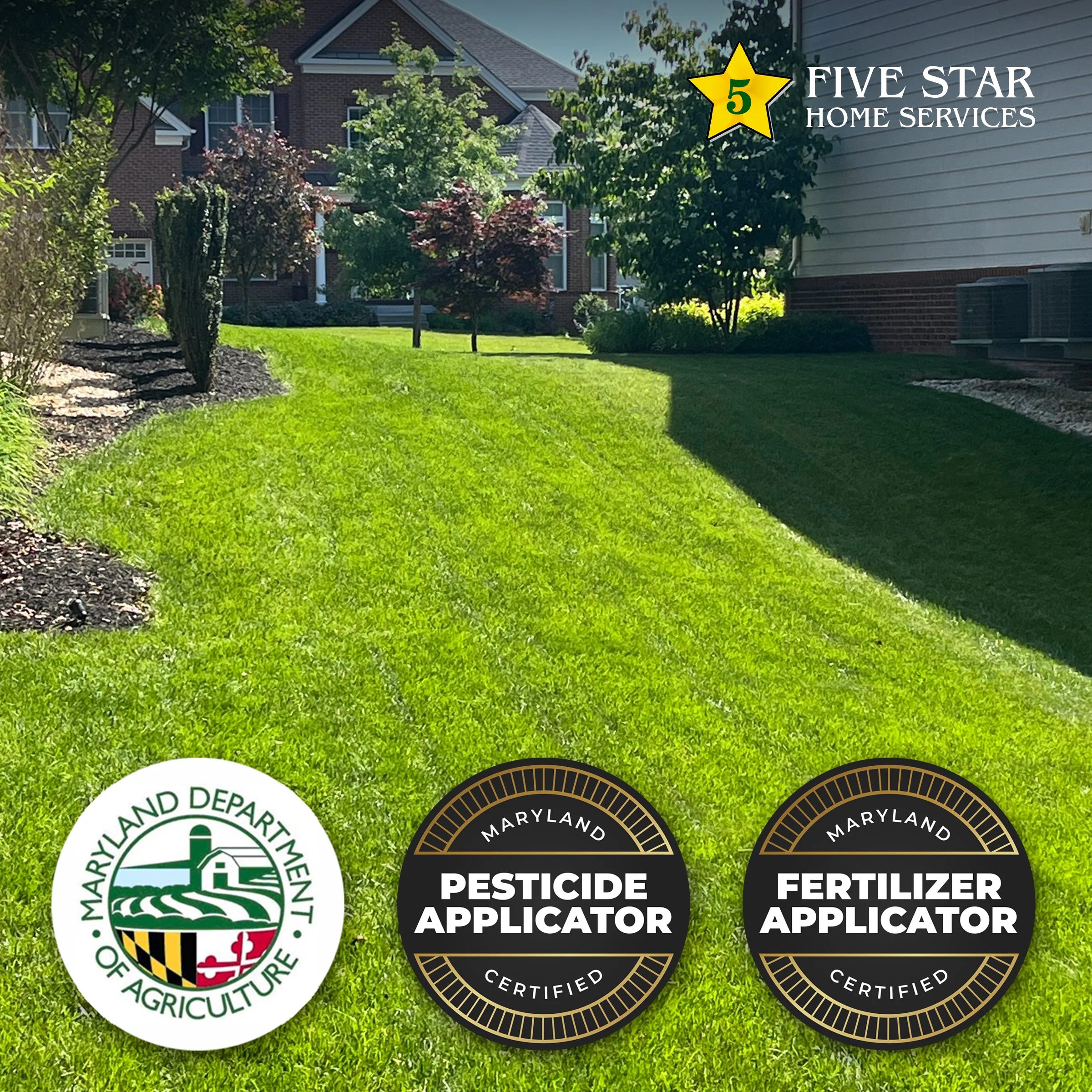 ticket-comment-1770318688271-657014990