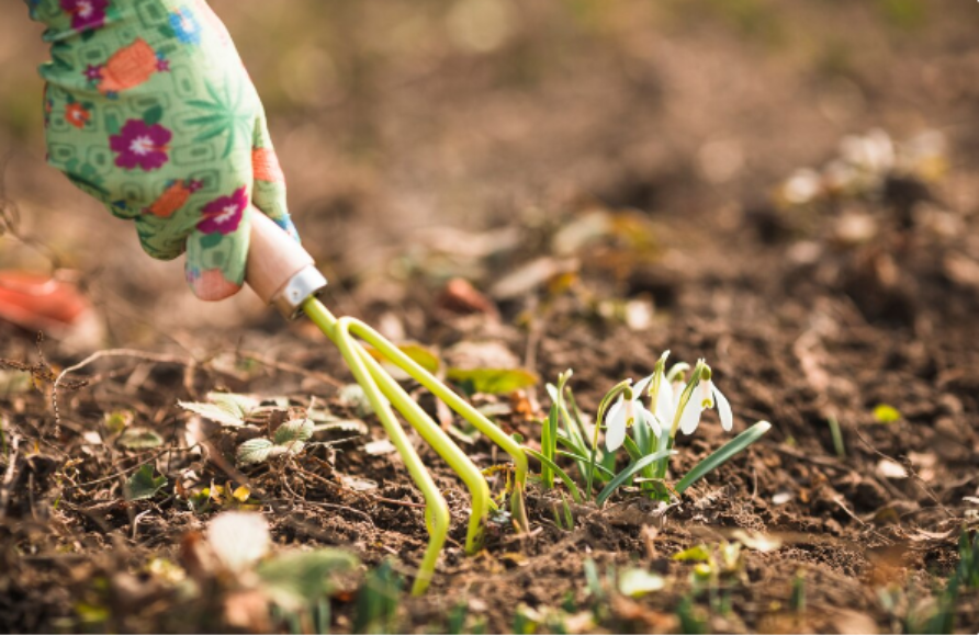 Aeration Overseeding Maryland