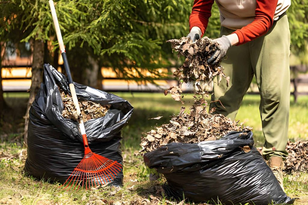 Seasonal Yard Cleanup Maryland